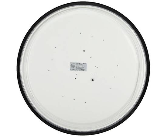 Потолочный светильник Эра Relict 48 Pult SPB-6-60-RC BK Б0059497, изображение 4