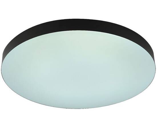 Потолочный светильник Эра Relict 48 Pult SPB-6-60-RC BK Б0059497, изображение 6
