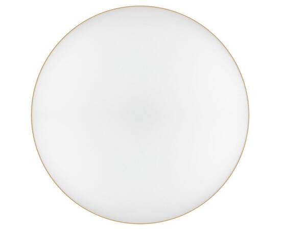 Потолочный светильник Эра Relict 22 SPB-6-20 4К MG Б0059509, изображение 2