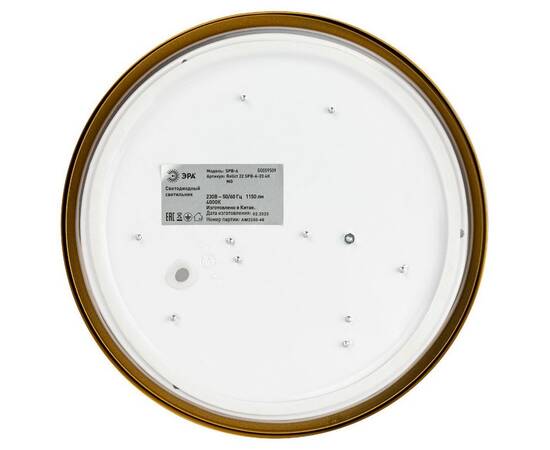 Потолочный светильник Эра Relict 22 SPB-6-20 4К MG Б0059509, изображение 3