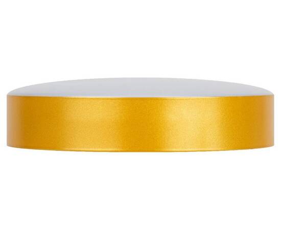 Потолочный светильник Эра Relict 22 SPB-6-20 4К MG Б0059509, изображение 4