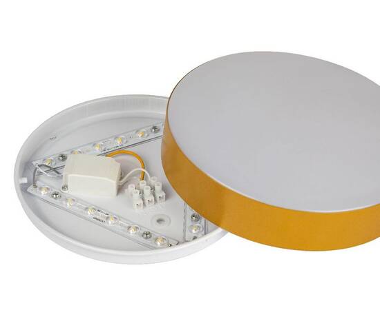 Потолочный светильник Эра Relict 22 SPB-6-20 4К MG Б0059509, изображение 5