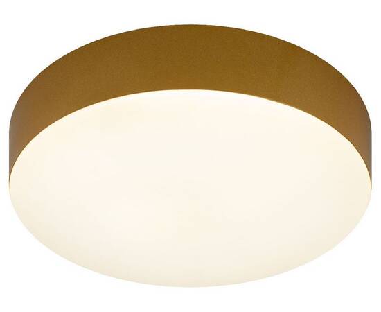 Потолочный светильник Эра Relict 22 SPB-6-20 4К MG Б0059509, изображение 6