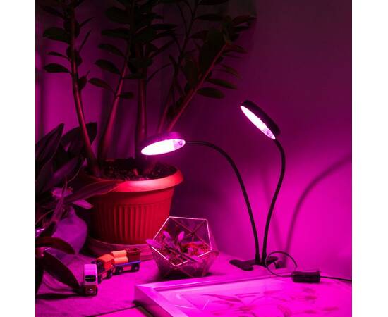 Настольная лампа Эра FITO-20W-АLED-R Б0053290, изображение 5