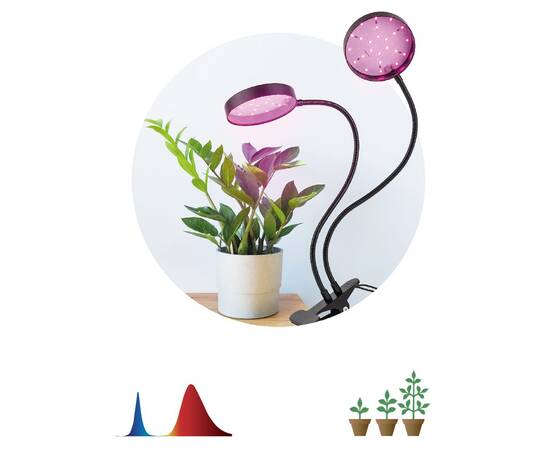 Настольная лампа Эра FITO-20W-АLED-R Б0053290, изображение 10