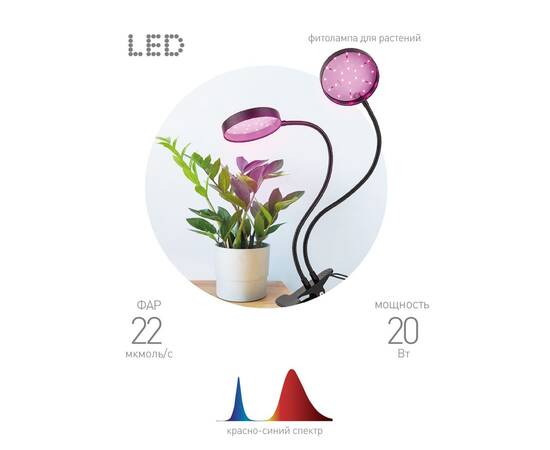 Настольная лампа Эра FITO-20W-АLED-R Б0053290, изображение 11