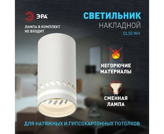 Накладной светильник Эра OL50 WH Б0059802, изображение 8