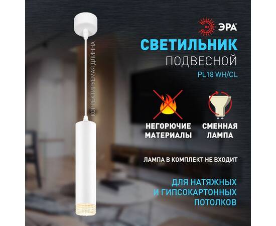 Подвесной светильник Эра PL18 WH/CL Б0058481, изображение 9