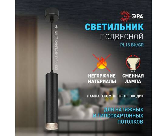 Подвесной светильник Эра PL18 BK/GR Б0058484, изображение 9
