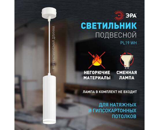 Подвесной светильник Эра PL19 WH Б0058491, изображение 9