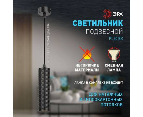 Подвесной светильник Эра PL20 BK Б0058500, изображение 9