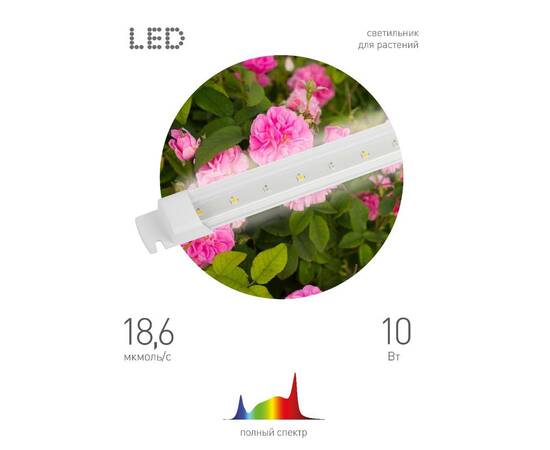 Линейный светильник Эра FITO-10W-Т5-Ra90-Slim Б0057400, изображение 8