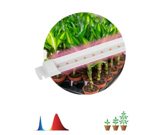 Линейный светильник Эра FITO-10W-Т5-RB-Slim Б0057401, изображение 6