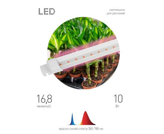Линейный светильник Эра FITO-10W-Т5-RB-Slim Б0057401, изображение 7
