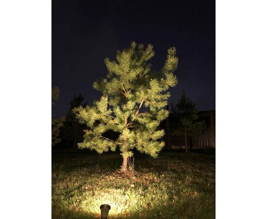 Грунтовый светильник Covali SP-33005, изображение 7