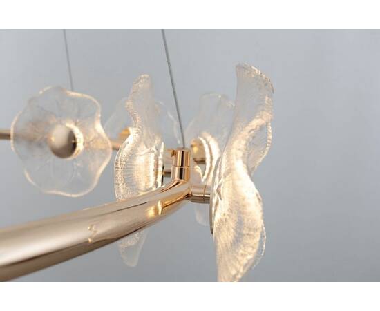 Подвесная люстра Rivoli Shannon 6135-101 Б0061947, изображение 6