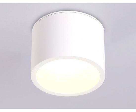 Накладной светильник Ambrella Light IP Protect TN6550, изображение 3