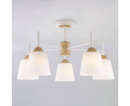 Потолочная люстра Eurosvet 70085/5 белый