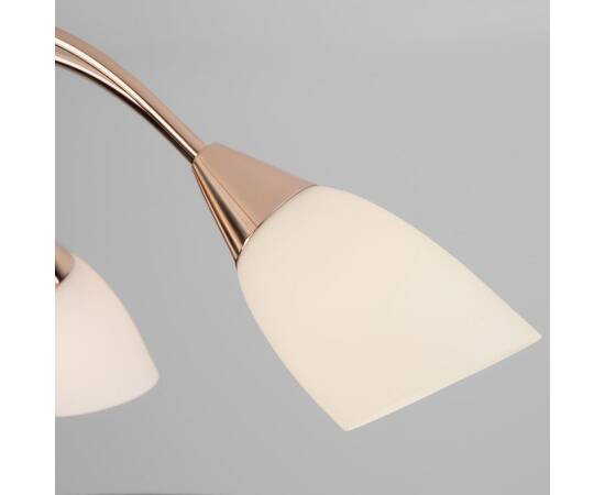 Потолочная люстра Eurosvet 30149/8 золото, изображение 3