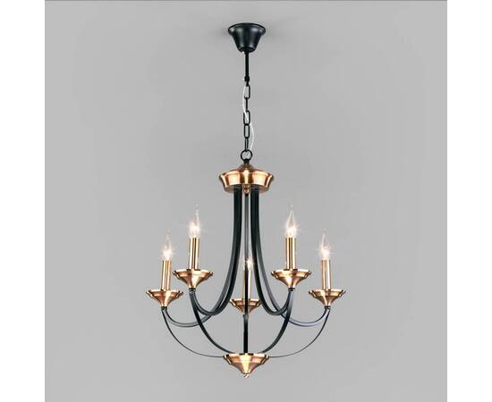 Подвесная люстра Eurosvet Lazzaro 60098/5 черный
