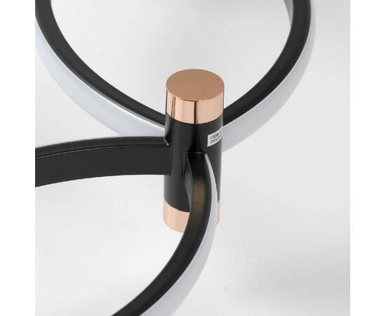 Подвесная люстра Lussole Taylor LSP-7211, изображение 3