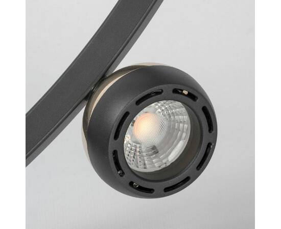 Подвесная люстра Lussole Lassen LSP-7253, изображение 2