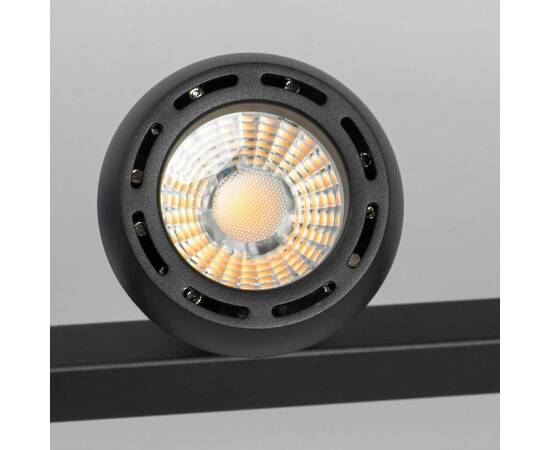 Подвесная люстра Lussole Lassen LSP-7254, изображение 2