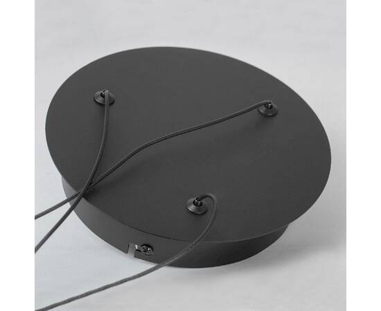 Подвесная люстра Lussole Lassen LSP-7257, изображение 5