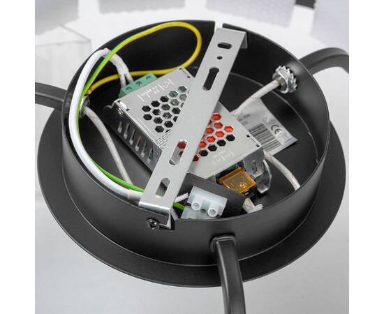 Потолочная люстра Lussole Alpine LSP-7259, изображение 5