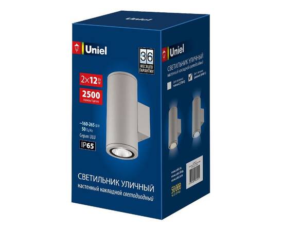 Уличный настенный светильник Uniel ULU-S22D-2x12W/6400K IP65 LIGHT GREY UL-00011085, изображение 2