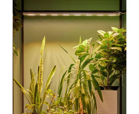 Светильник для растений Uniel ULT-P71B-100W/SPFB/L105 WHITE WINTERGARDEN UL-00011265, изображение 7