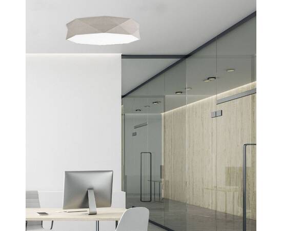 Потолочный светильник TK Lighting 6196 Kantoor Nature a059804, изображение 2