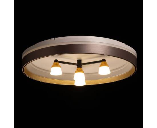 Потолочный светильник De Markt Норден 660014701, изображение 5