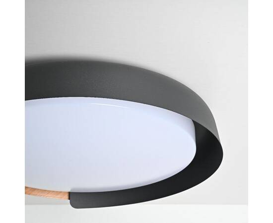 Потолочный светильник ImperiumLoft Adda 223831-23, изображение 3