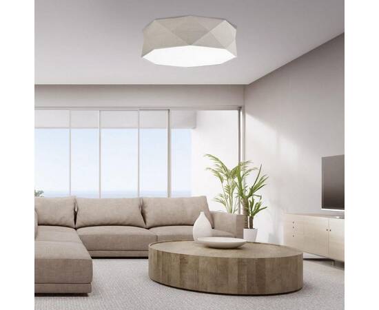 Потолочный светильник TK Lighting 6195 Kantoor Nature a059803, изображение 2