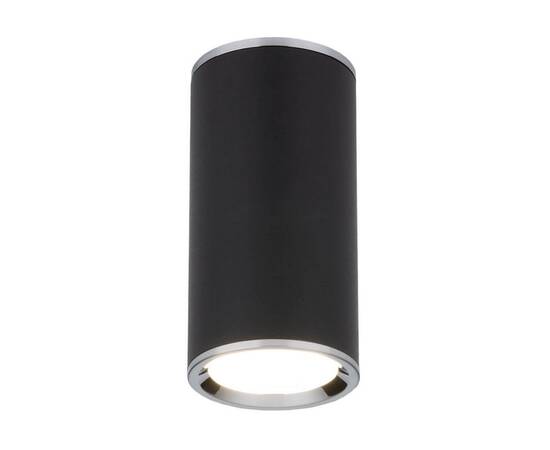 Потолочный светильник Elektrostandard DLN101 GU10 BK черный a043971