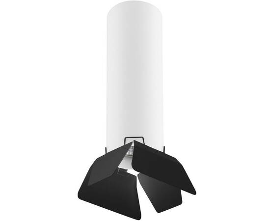 Потолочный светильник Lightstar Rullo (214496+202437) R496437