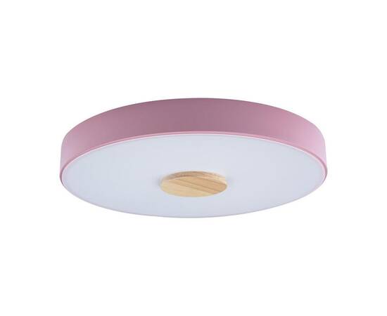 Потолочный светодиодный светильник Loft IT Axel 10003/24 pink