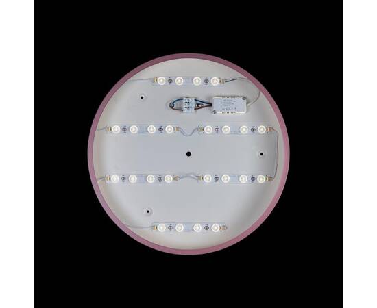 Потолочный светодиодный светильник Loft IT Axel 10003/24 pink, изображение 3