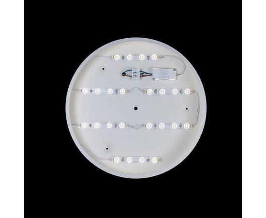 Потолочный светодиодный светильник Loft IT Axel 10003/24 white, изображение 3