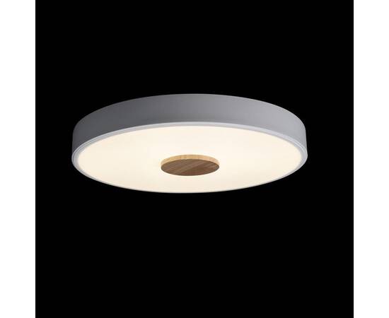 Потолочный светодиодный светильник Loft IT Axel 10003/24 white, изображение 5