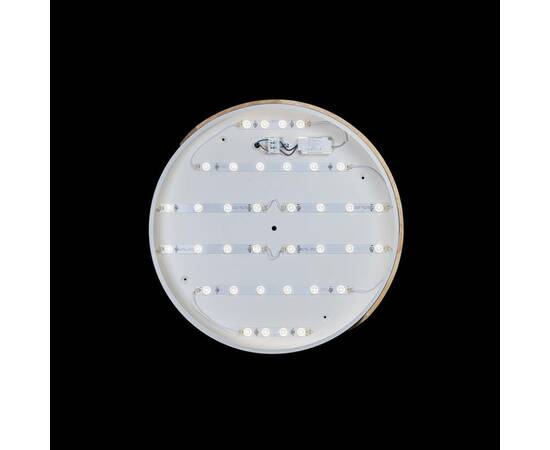 Потолочный светодиодный светильник Loft IT Axel 10004/36 white, изображение 3