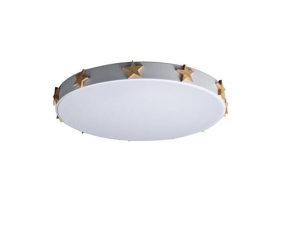 Потолочный светодиодный светильник Loft IT Axel 10006/36 white