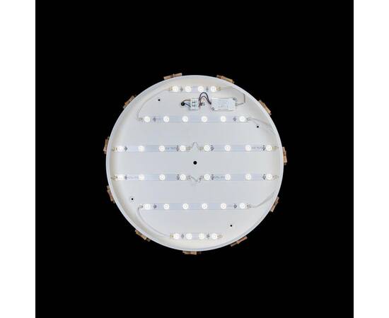 Потолочный светодиодный светильник Loft IT Axel 10006/36 white, изображение 3