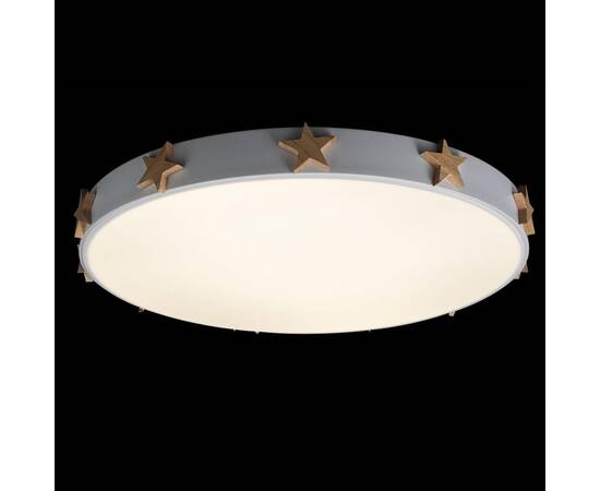 Потолочный светодиодный светильник Loft IT Axel 10006/36 white, изображение 5