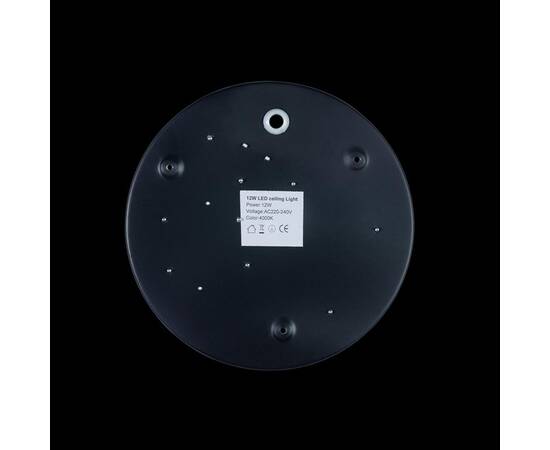 Потолочный светодиодный светильник Loft IT Axel 10002/12 black, изображение 2