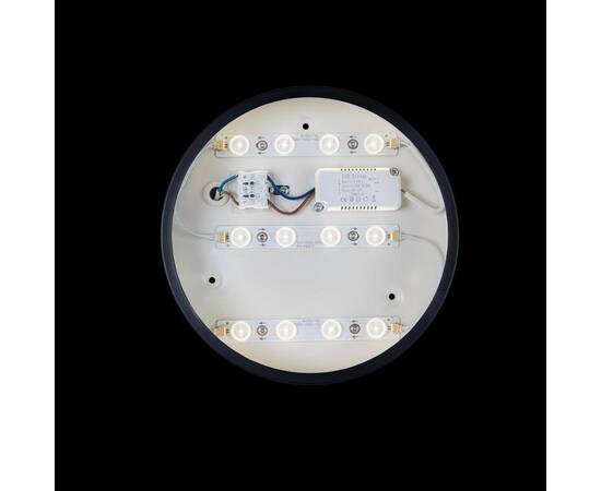 Потолочный светодиодный светильник Loft IT Axel 10002/12 black, изображение 3