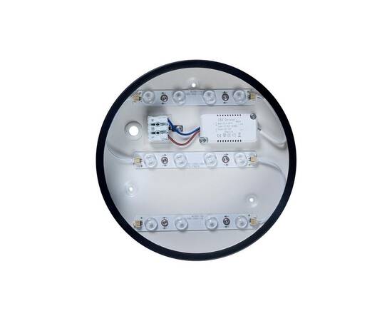 Потолочный светодиодный светильник Loft IT Axel 10002/12 black, изображение 4