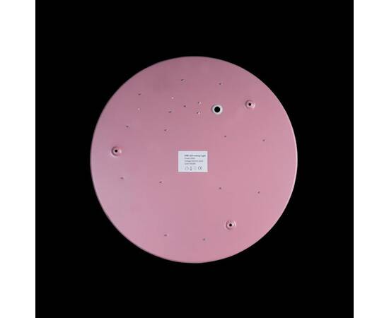 Потолочный светодиодный светильник Loft IT Axel 10002/24 pink, изображение 2