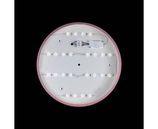 Потолочный светодиодный светильник Loft IT Axel 10002/24 pink, изображение 3